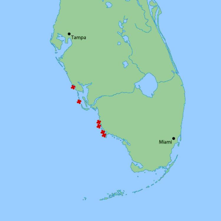 Map showing locations where measurements were taken.