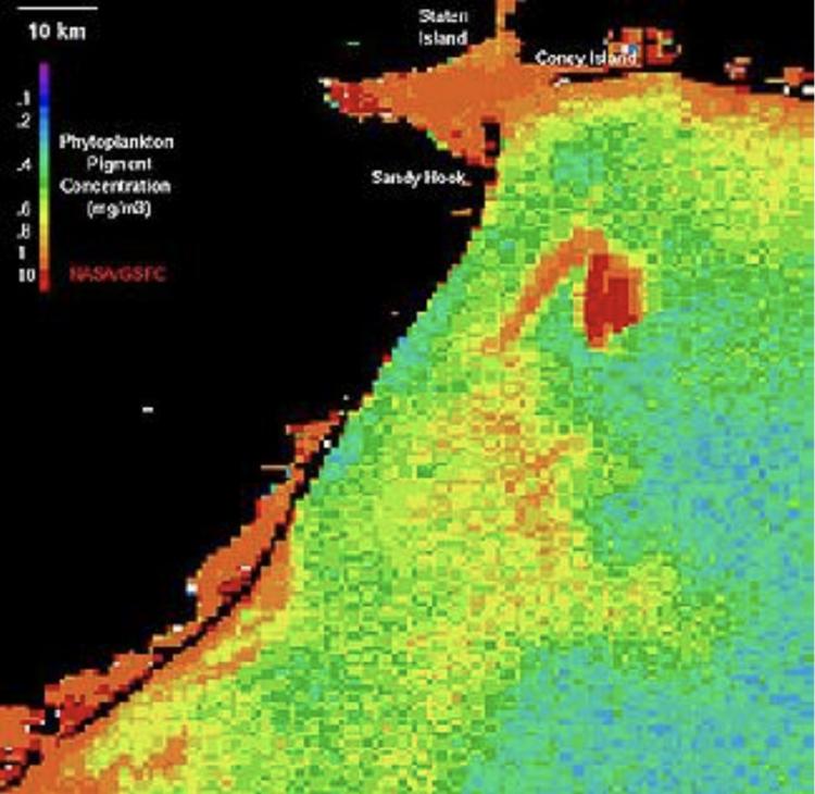 zoomed in Classic CZCS Scenes Chapter 8: Ocean Pollution Increasing the magnification on the coast of the United States in a CZCS image seen previously reveals the presence of an unusual feature, shaped like a fishhook, near New York City. This feature corresponds to an ocean dump site, where waste (in this case, acidic wastes from chemical production) was released offshore from ships. This feature illustrates the potential of ocean color imagery to observe how the activities of human beings may affect the 