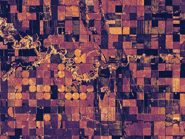 NISAR image of North Dakota shows forests and wetlands on the banks of the Forest River meandering through the middle of the frame from west to east and farmland to the north and south