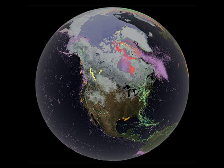 Animal movement tracking across the arctic on top of seasonal natural phenomena like changing vegetation, snow (white), and sea ice (light purple).