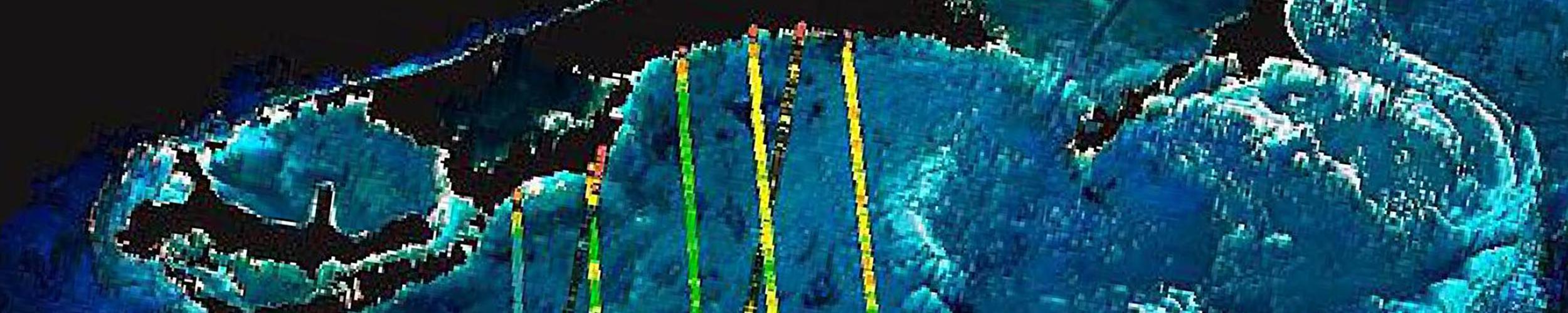 image of ATLAS land surface data