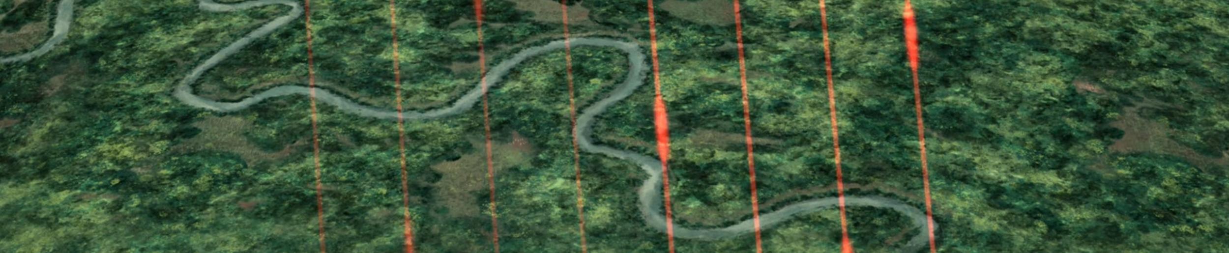 image of biomass data