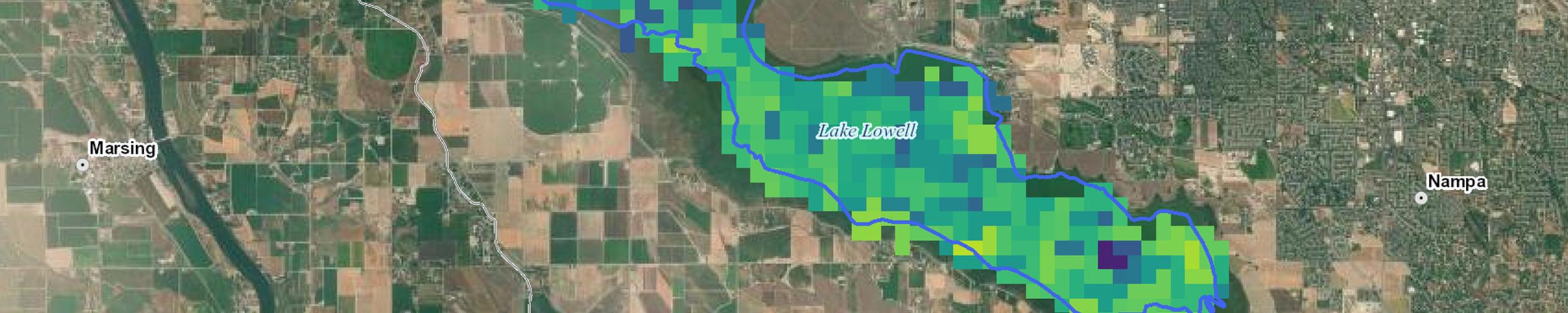 image of cyanobacteria data