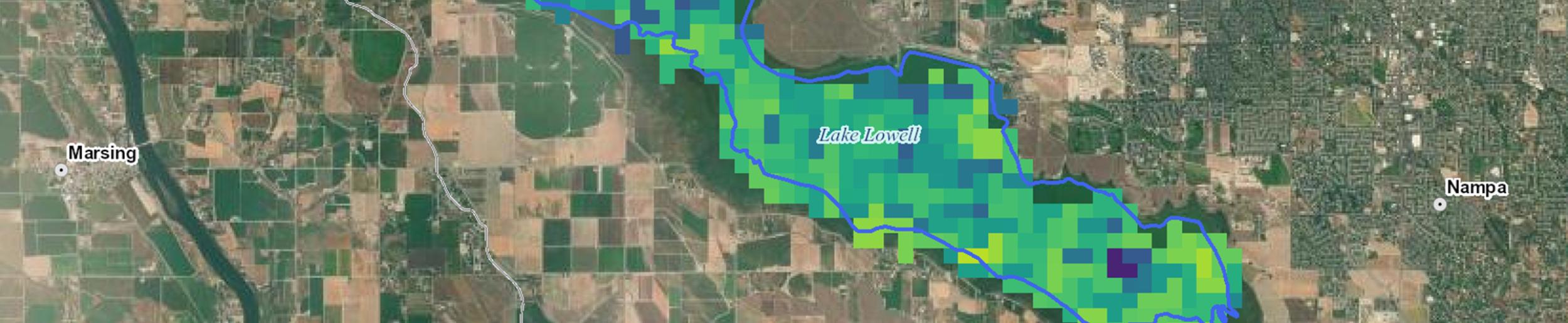 image of cyanobacteria data