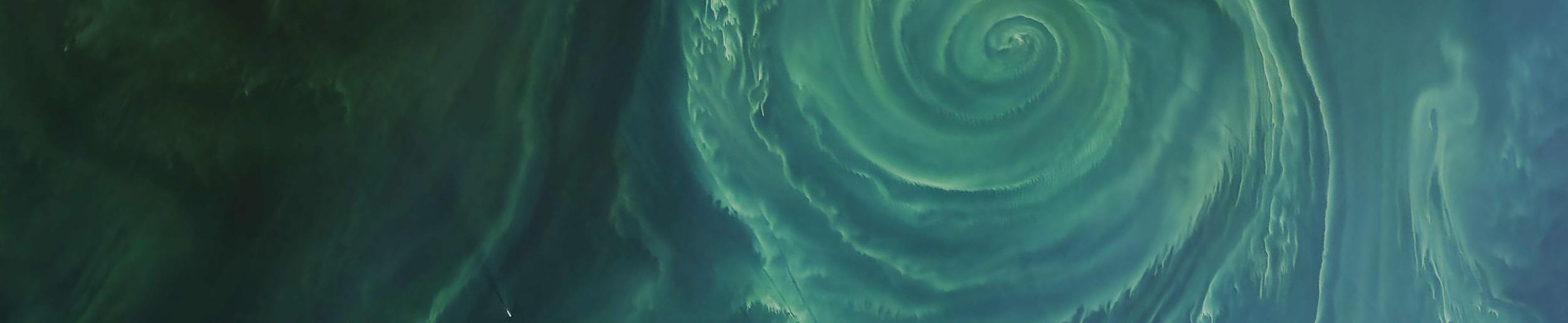 image of cyanobacteria in the Gulf of Finland