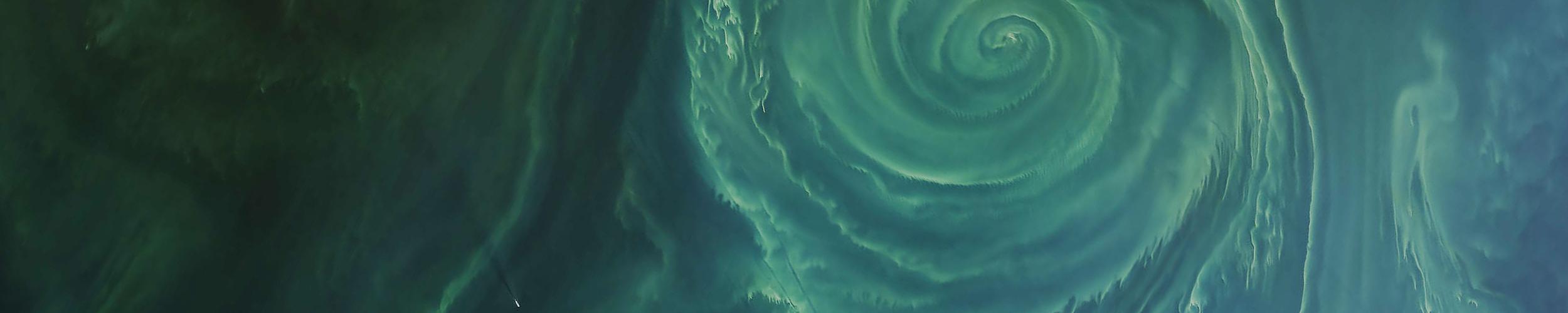 image of cyanobacteria in the Gulf of Finland