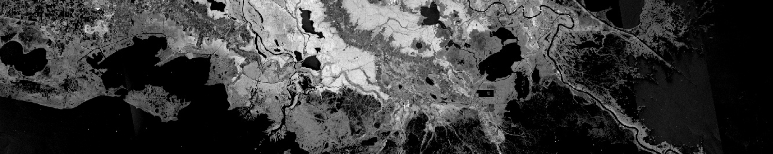A black and white SAR image of a coastline. 