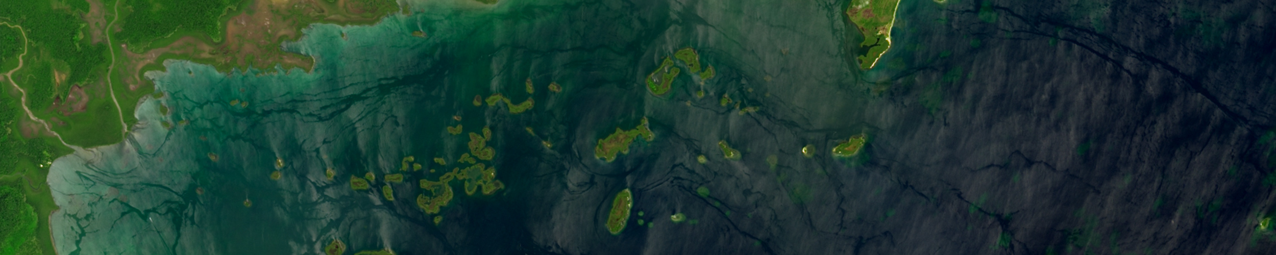 Satellite Image of a Blue Carbon Ecosystem