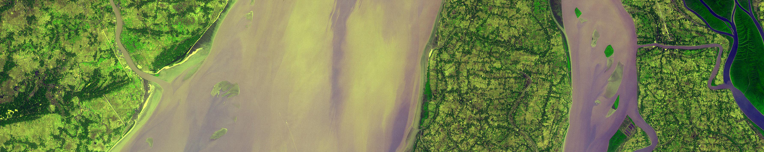 ARSET - Remote Sensing for Mangroves in Support of the UN Sustainable Development Goals hero image