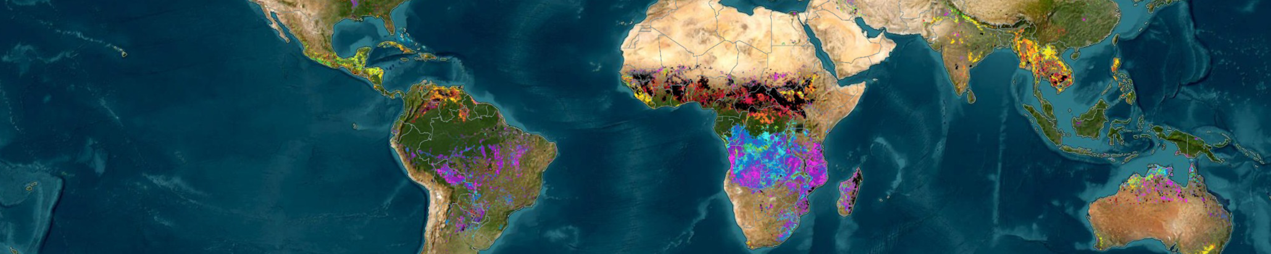 Global map of fire hot-spots.