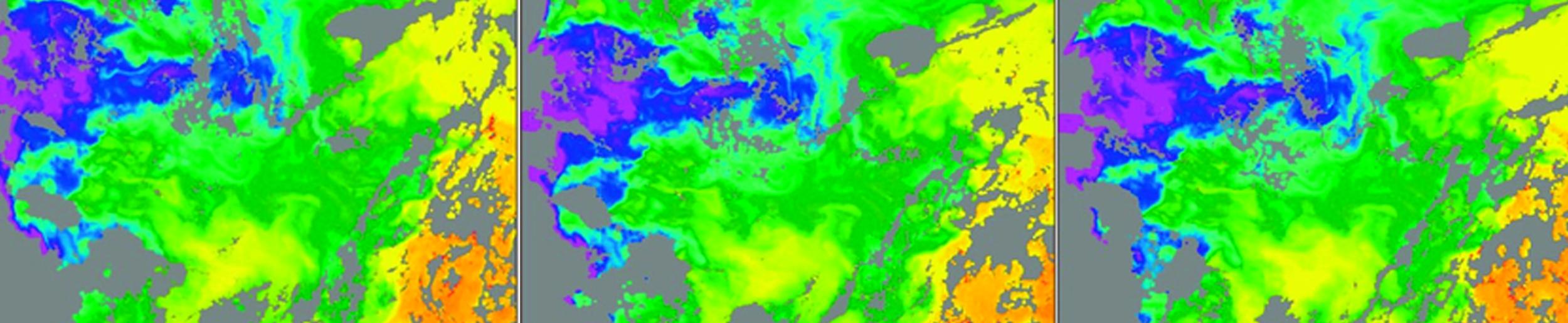chlorophyll data collected by the GOCI instrument above Korea and Japan