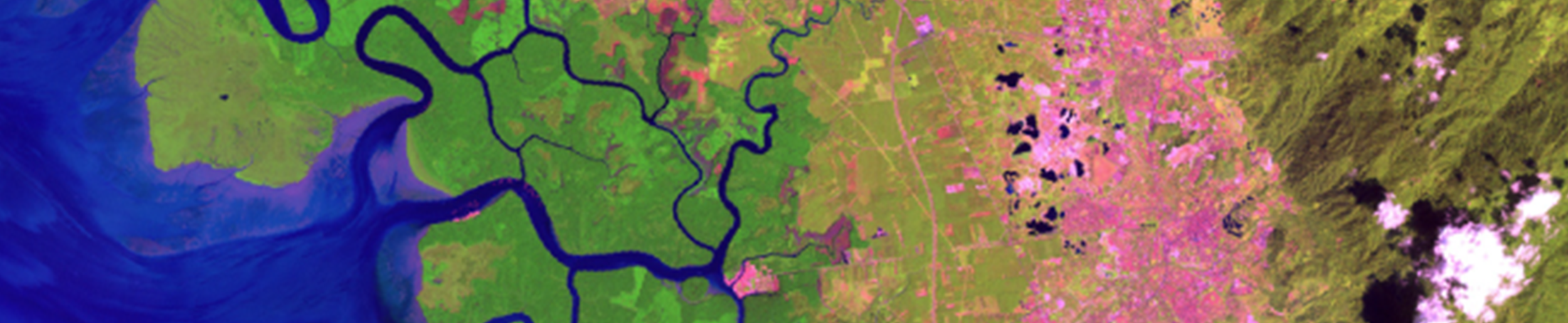 Satellite image displaying the Mississippi River Delta.