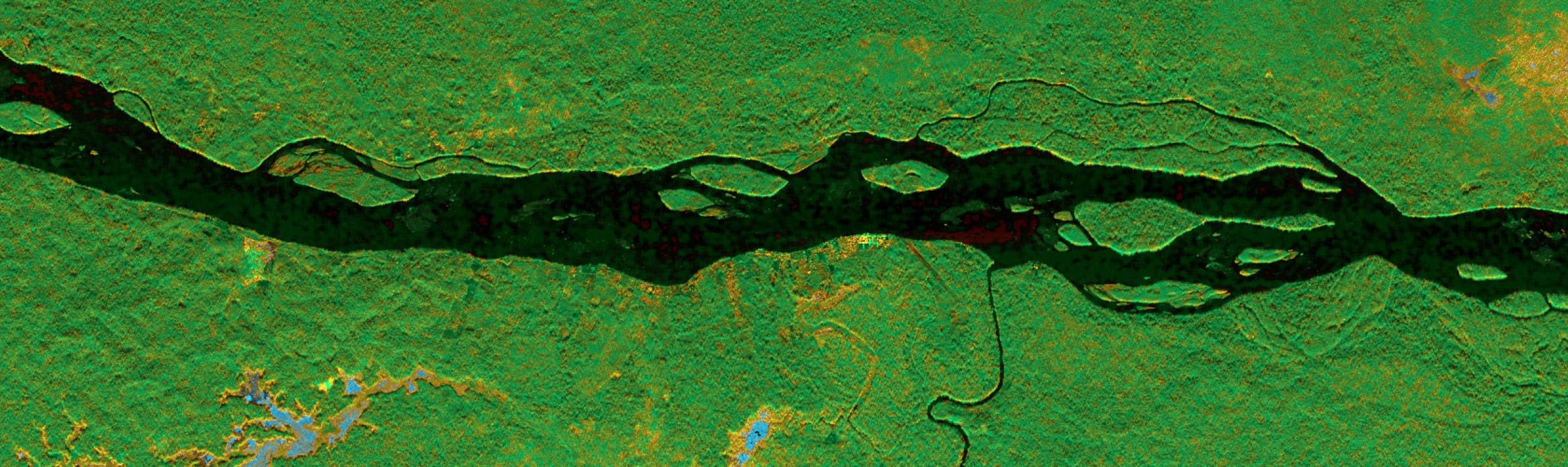 forested wetlands around the Napo River in Ecuador and Peru