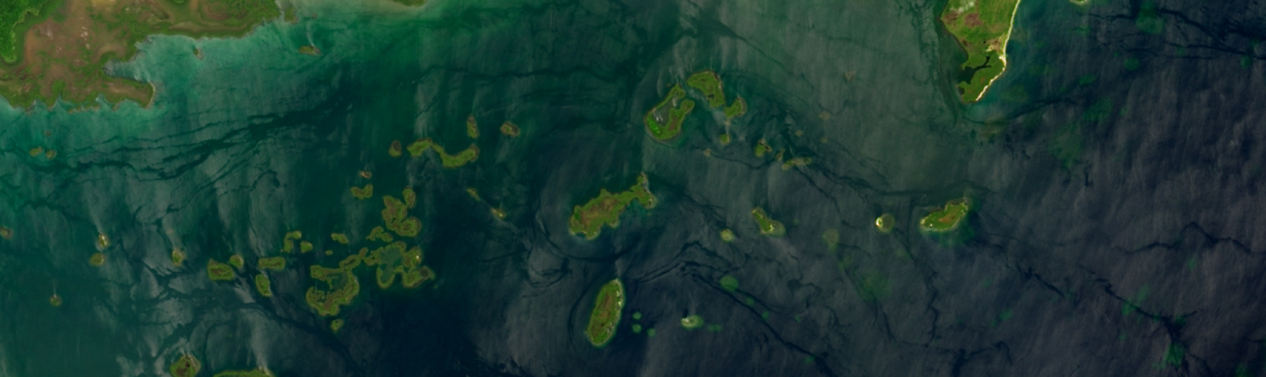 Satellite Image of a Blue Carbon Ecosystem