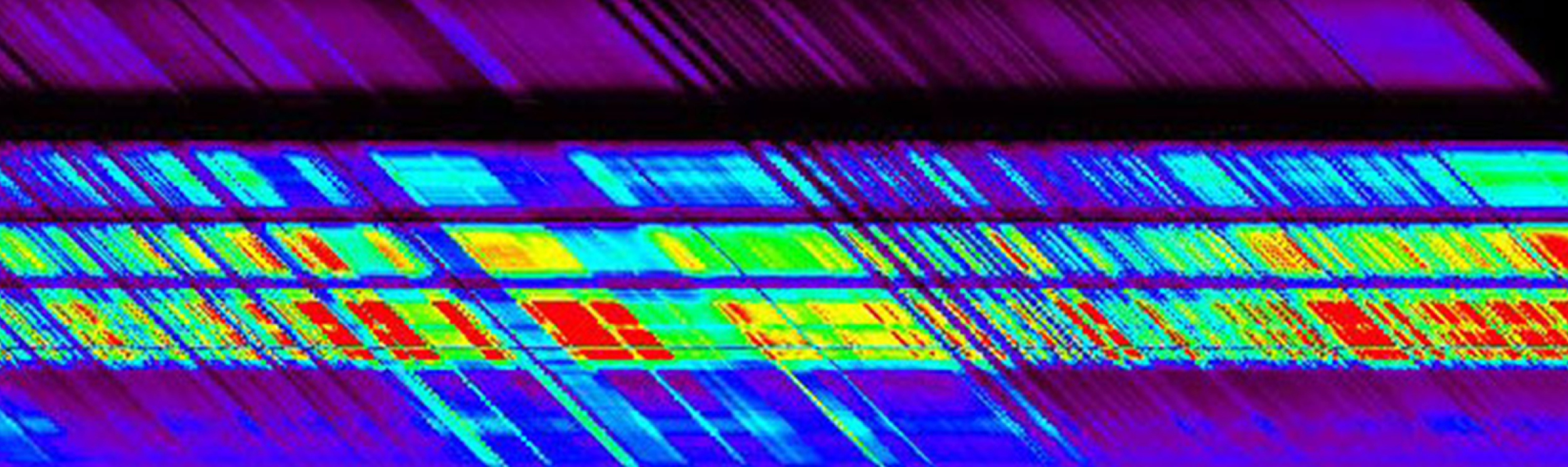 ARSET - Biodiversity Applications for Airborne Imaging Systems hero image