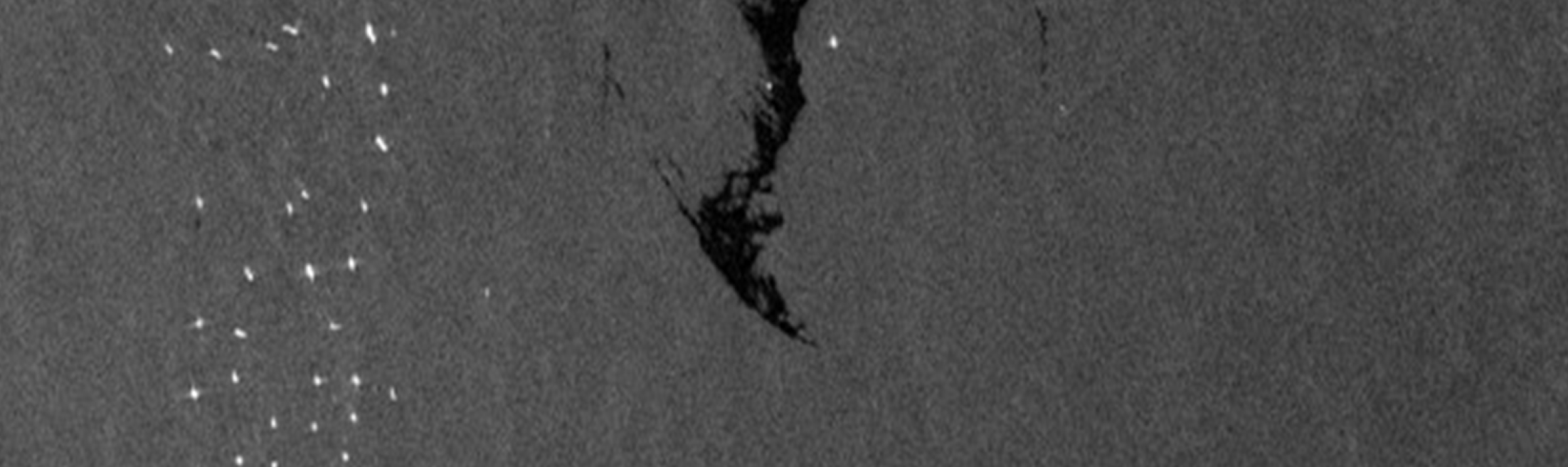 ARSET - Disaster Assessment Using Synthetic Aperture Radar hero image