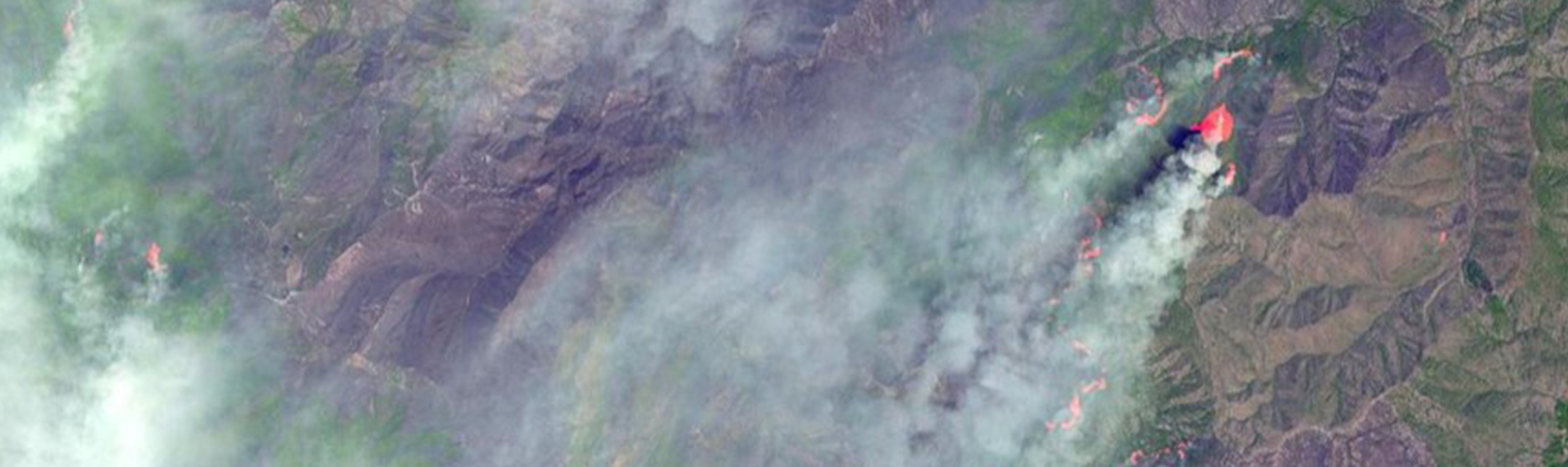 ARSET - Using Earth Observations for Pre- and Post-Fire Monitoring hero image