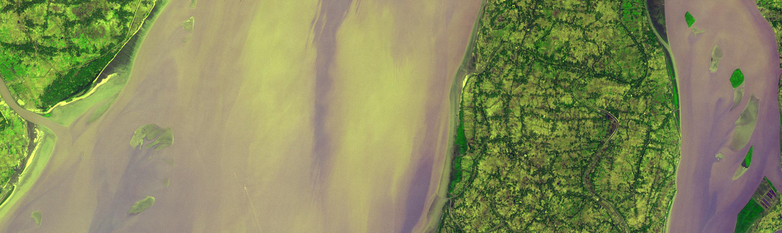 ARSET - Remote Sensing for Mangroves in Support of the UN Sustainable Development Goals hero image
