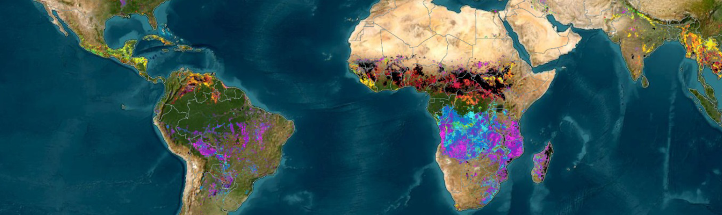 Global map of fire hot-spots.