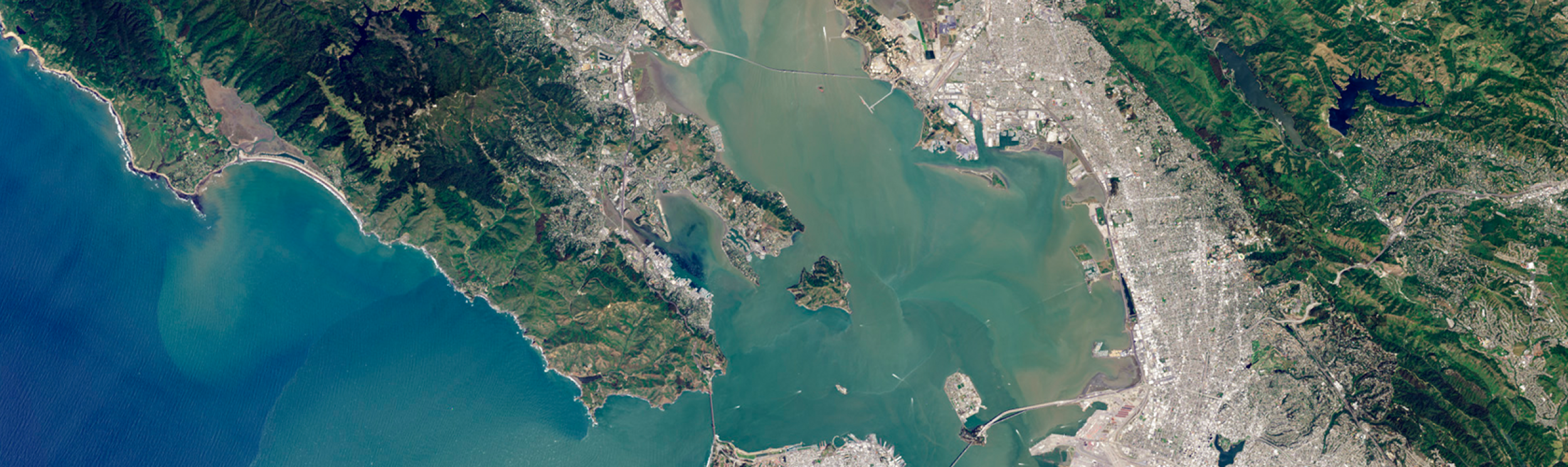 Connecting Citizen Science with Remote Sensing hero image