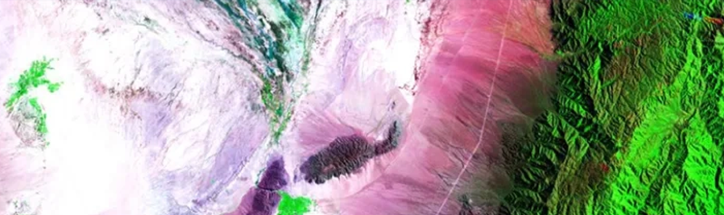 Satellite image of a forested area