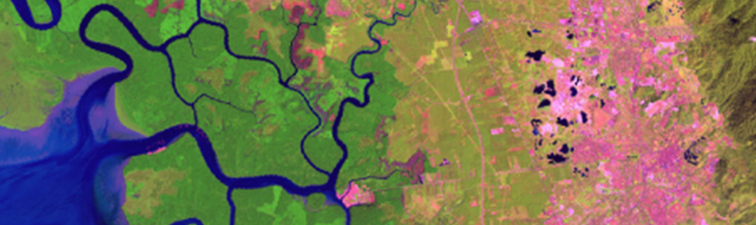 Satellite image displaying the Mississippi River Delta.