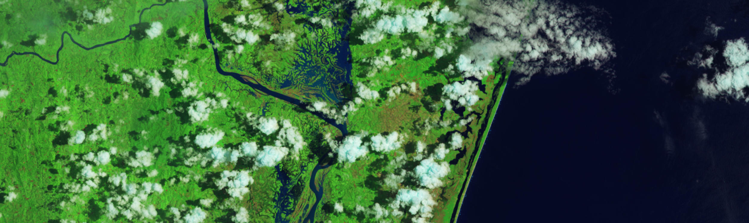 This four-panel image is a NASA composite illustrating different types of natural hazards or the aftermath of a single major event like Hurricane Harvey.