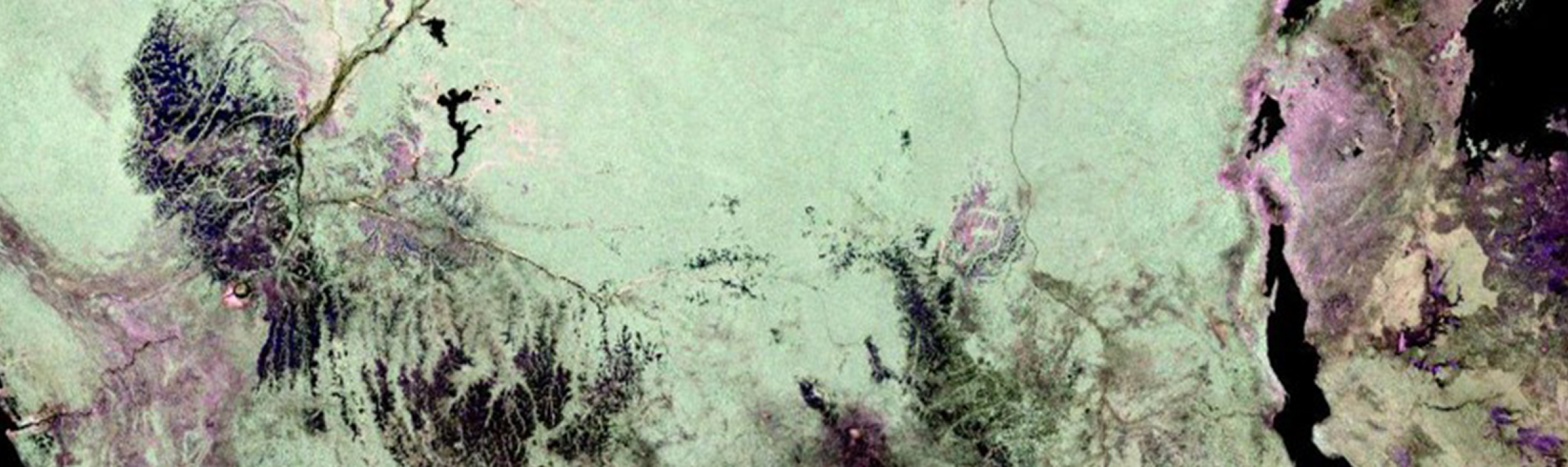Radar Remote Sensing for Land, Water, & Disaster Applications hero image