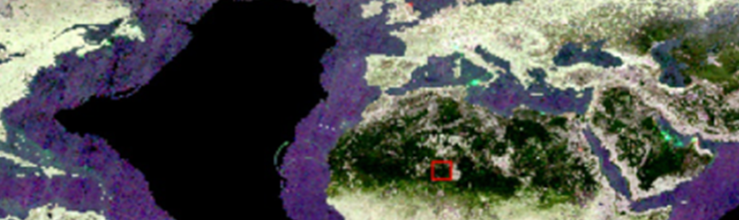 SAR for Landcover Applications hero image