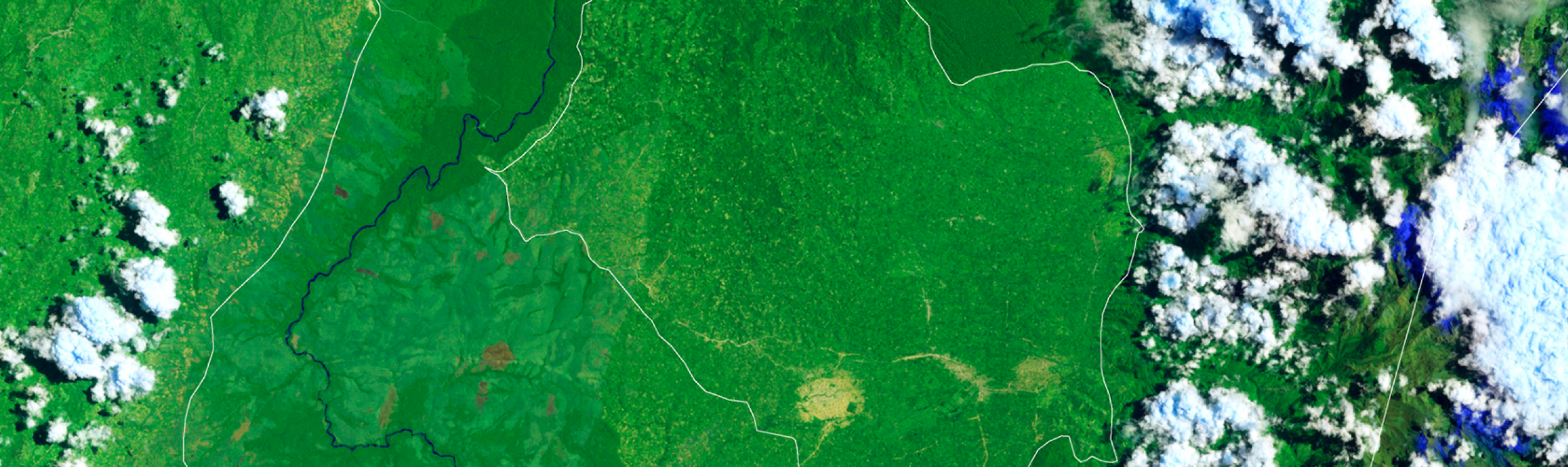 Aerial image shows a landscape with dense vegetation and fields