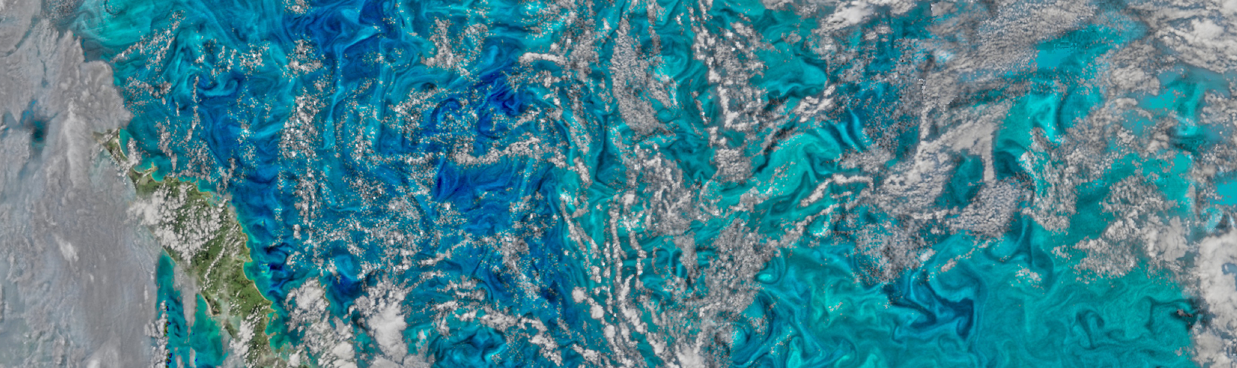 This satellite image captures a significant cyanobacteria bloom in the Baltic Sea. 