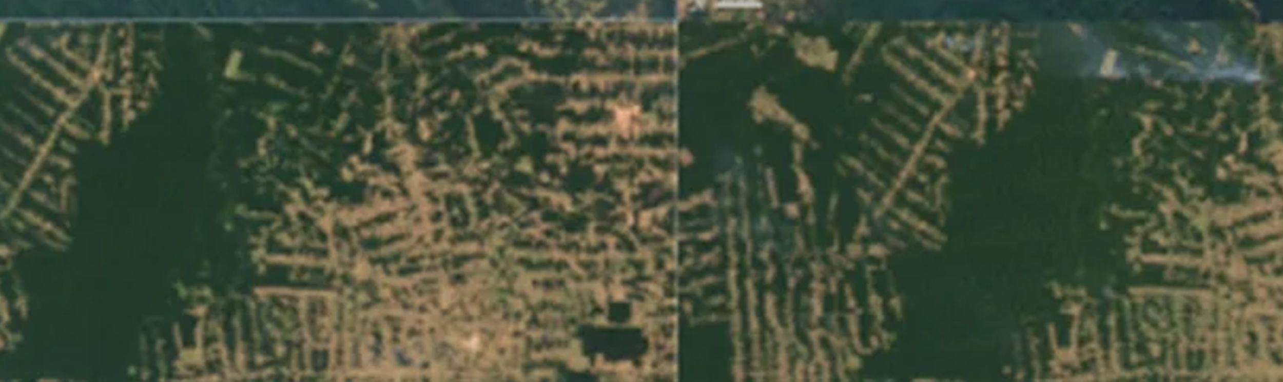 The image appears to be satellite imagery illustrating areas of significant deforestation