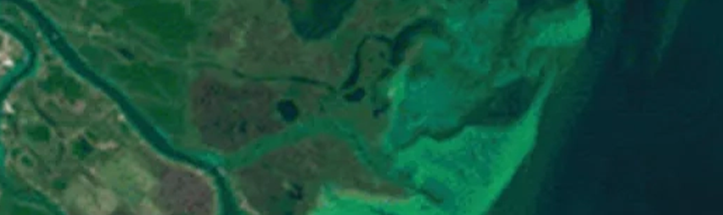 A green satellite image.
