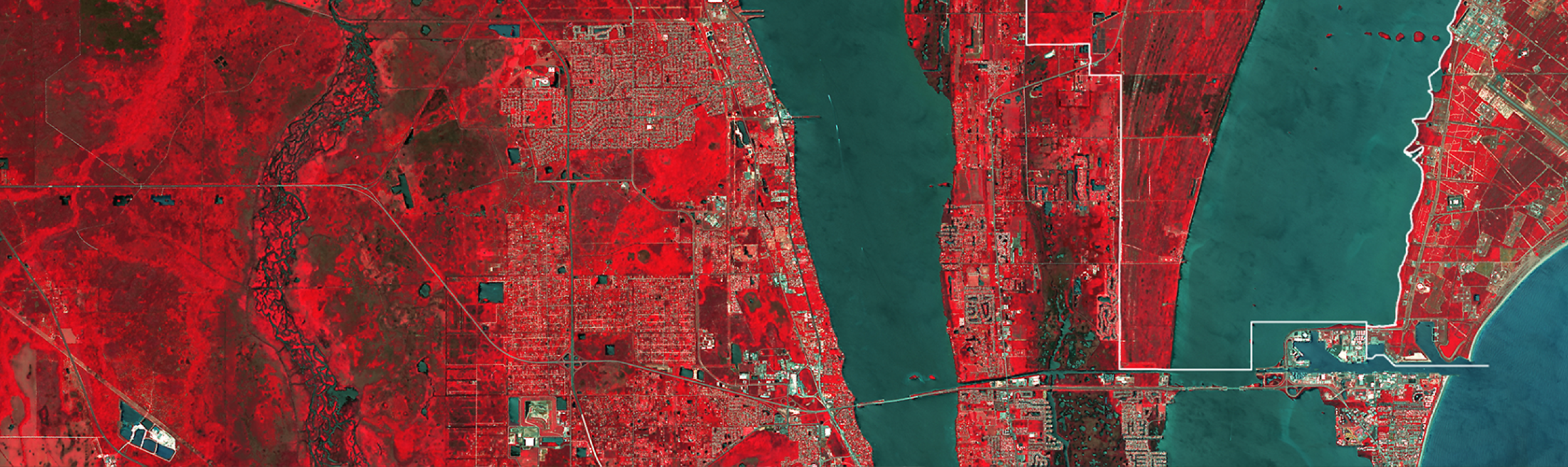 The image is a satellite view of deforestation in the state of Rondônia, Brazil. The distinctive "fishbone" or "feather" pattern shows how land clearing systematically fans out from main roads. 