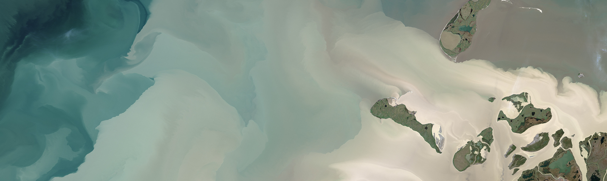 Satellite image of the Mackenzie River Delta where the river meets the Beaufort Sea in the Arctic Ocean. 