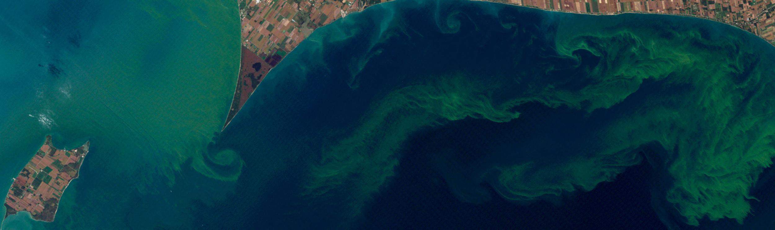 algae bloom in Lake Erie