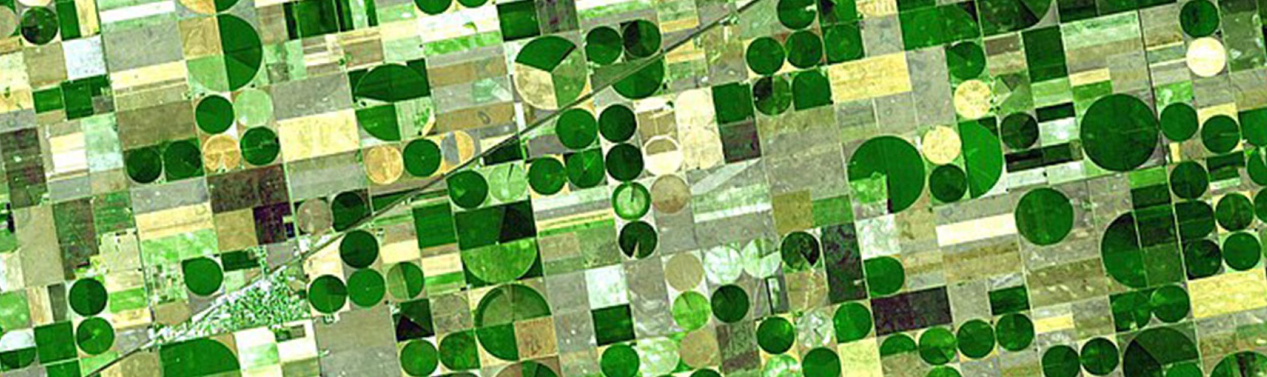 The image displays a satellite view of agricultural fields in Kansas utilizing center-pivot irrigation systems,