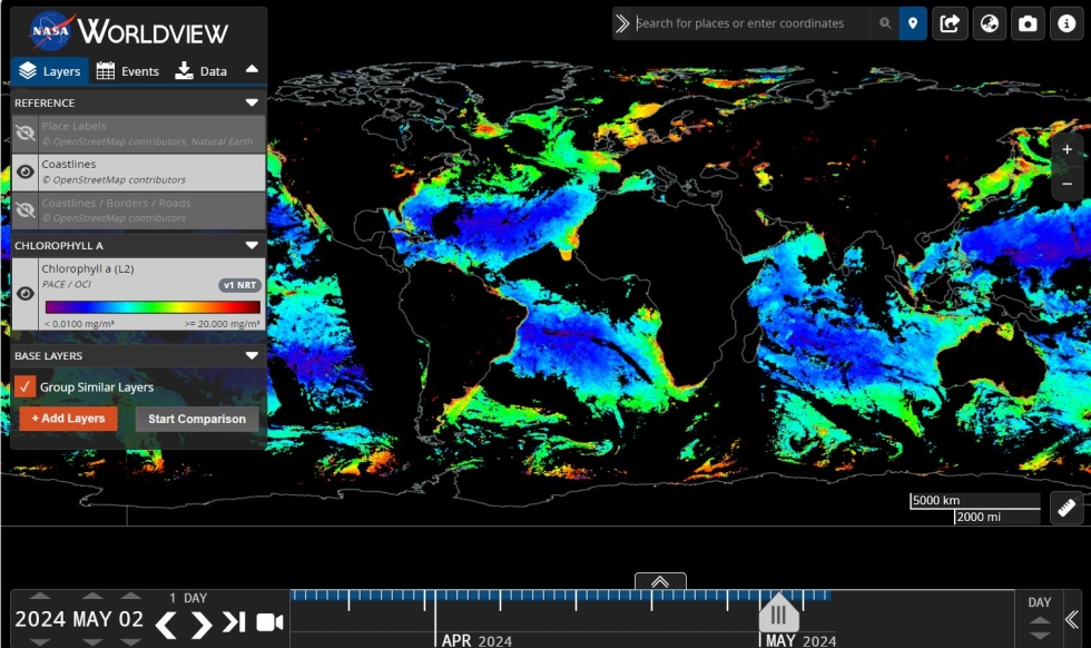 A wide screen shot from NASA Worldview showing PACE Chlorophyll a data and the data layer menu.