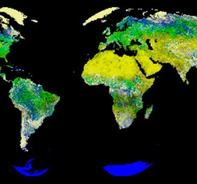 The image above shows Global Land vegetation 1-KM AVHRR.