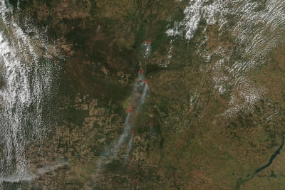 True-color corrected reflectance image of fires in Brazil's Pantanal on 12 June 2024 from the VIIRS instrument aboard the Suomi-NPP satellite