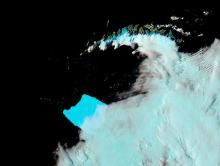 False-color corrected reflectance image of Iceberg A23a near South Georgia Island on March 4, 2025 from the MODIS instrument aboard the Aqua satellite