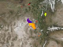 Chlorophyll a concentrations in the Great Salt Lake, Utah on May 21, 2025 from the VIIRS instrument aboard the joint NASA/NOAA Suomi NPP satellite
