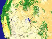 MODIS image of phenology data over United States