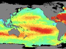 mean sea surface salinity values over 8 days across 2023