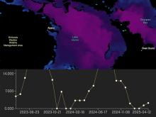 This thumbnail graphic shows a chart from NASA Worldview's charting feature. This feature lets users view statistical data for a specific location associated with the instrument data displayed in the Worldview application.