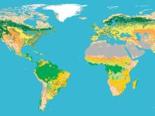 Global imagery of Earth derived from the MODIS land cover data product.