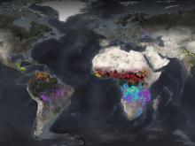 Monthly burned area for the MODIS and VIIRS products for 2024 displayed in FIRMS.