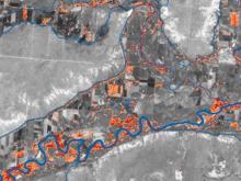 remote sensing satellite image tracking invasive species