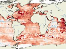 Gridded ocean height measurements from Sentinel-6 Michael Freilich (Sentinel-6A) observations from Oct. 8-17, 2025