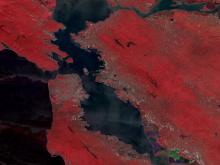 This HLS color-infrared composite image —generated via the TiTiler-CMR API in the Worldview application — shows the area around Cambridge, Maryland.